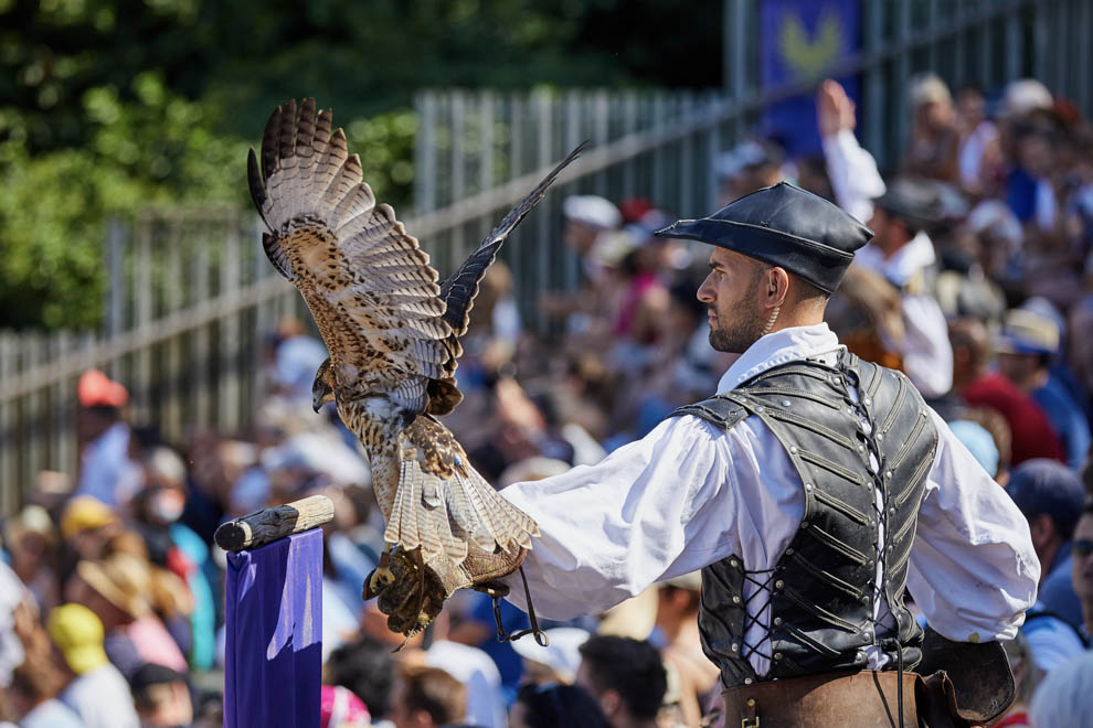 Gite puy du fou  et Le Bal des Oiseaux Fantômes Grand Parc du Puy du Fou