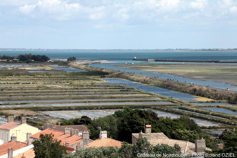 Les Marais de Mulhembourg