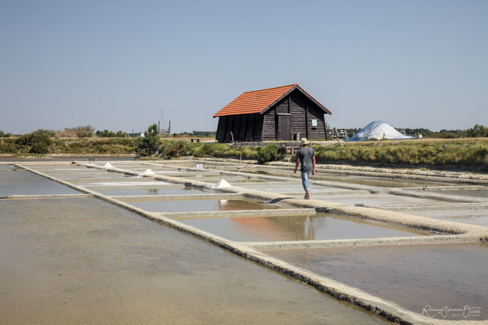 Gite proche des Marais Salants de la Vie