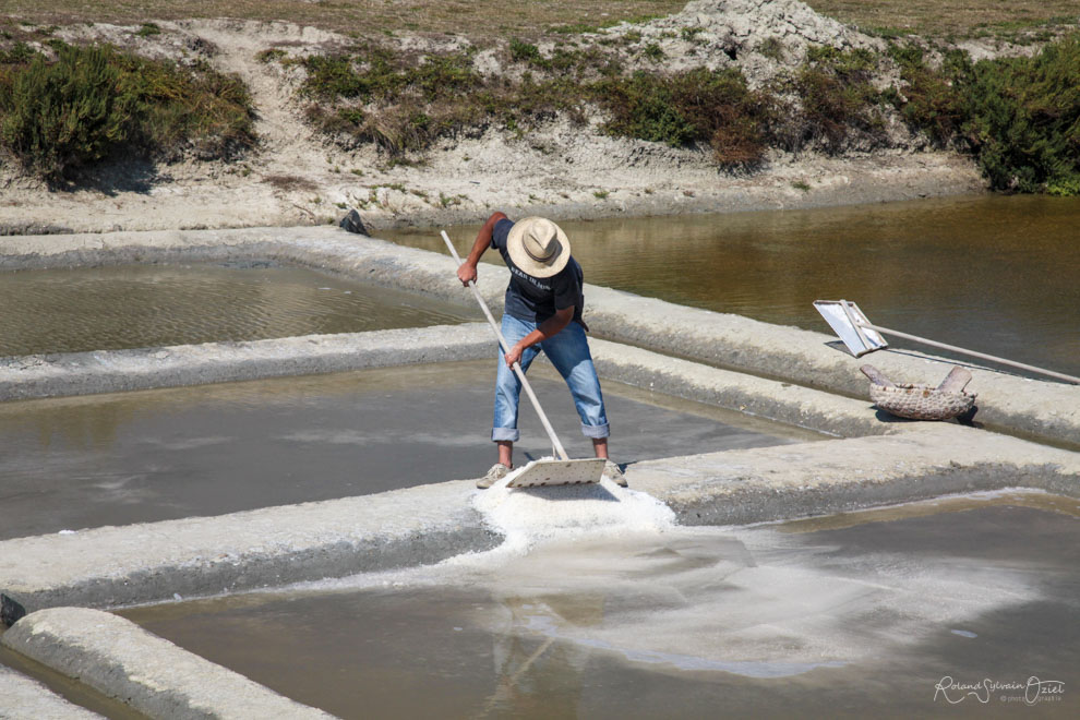 Gite proche des marais salants